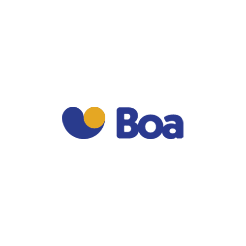 /images/clients/boa.png